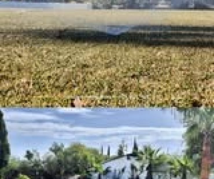 imgi_14_491817868_1003998415210344_6398446319232406843_n