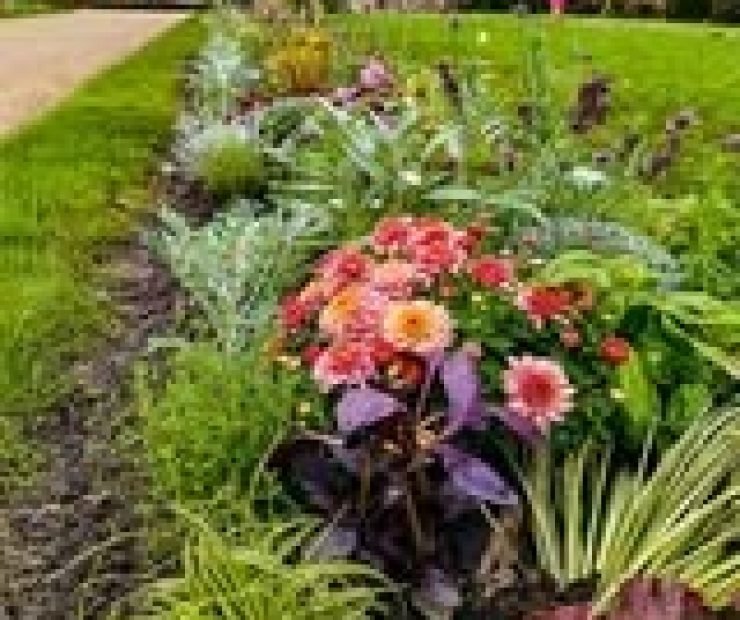 imgi_18_381002493_646630740947115_7390703069423122555_n